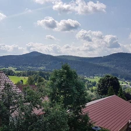 Ferienwohnung Laura Haus Weberfeld 4 Bodenmais Zewnętrze zdjęcie